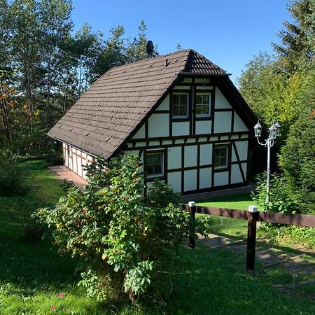 Die Kleine Ferienvilla Am Edersee Frankenau エクステリア 写真